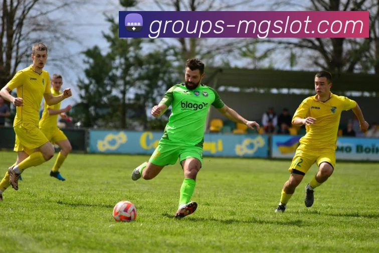 MG电子官网服务体系